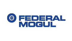 FEDERAL MOGUL